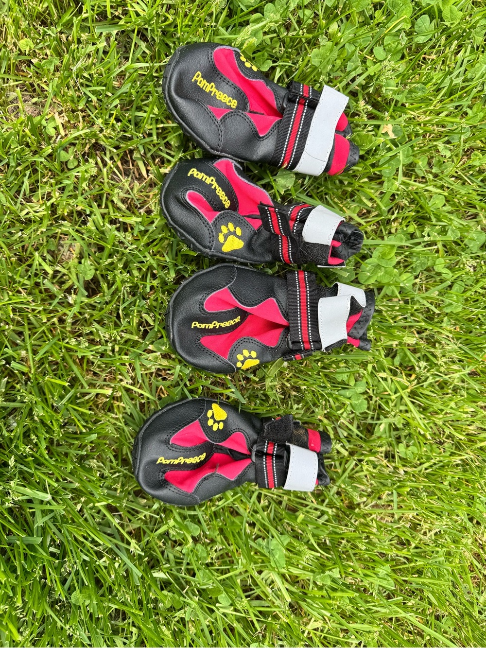 Black and Red Protective Dog Boots